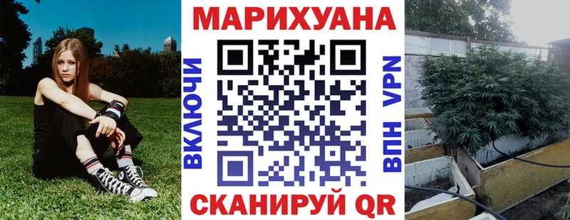 Шишки марихуана марихуана  где продают наркотики  ОМГ ОМГ как войти  Котово 